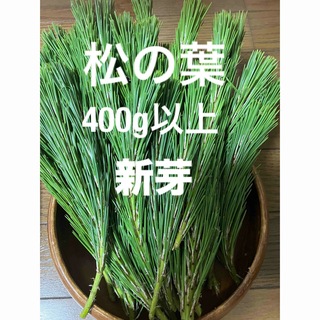 秋田県産松の葉400g以上新芽(野菜)
