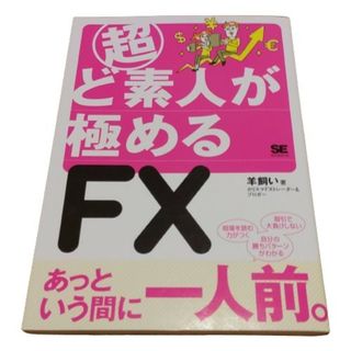 【中古】超ど素人が極めるＦＸ  ざっくりわかる為替相場  経済指標 チャート図(ビジネス/経済)