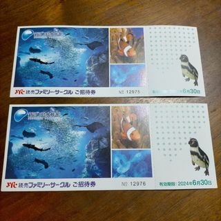 新江ノ島水族館 無料招待券２枚セット(水族館)