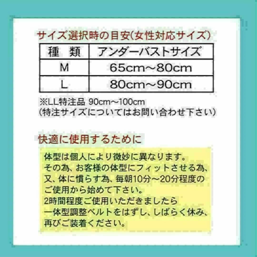 山田式　姿勢矯正ベルト　Lサイズ　とにかく姿勢が気になるかたに！　猫背矯正 スポーツ/アウトドアのトレーニング/エクササイズ(トレーニング用品)の商品写真