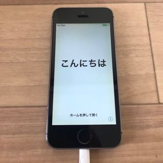 アイフォーン(iPhone)のiPhone 5s Space Gray 16 GB DOCOMO(スマートフォン本体)