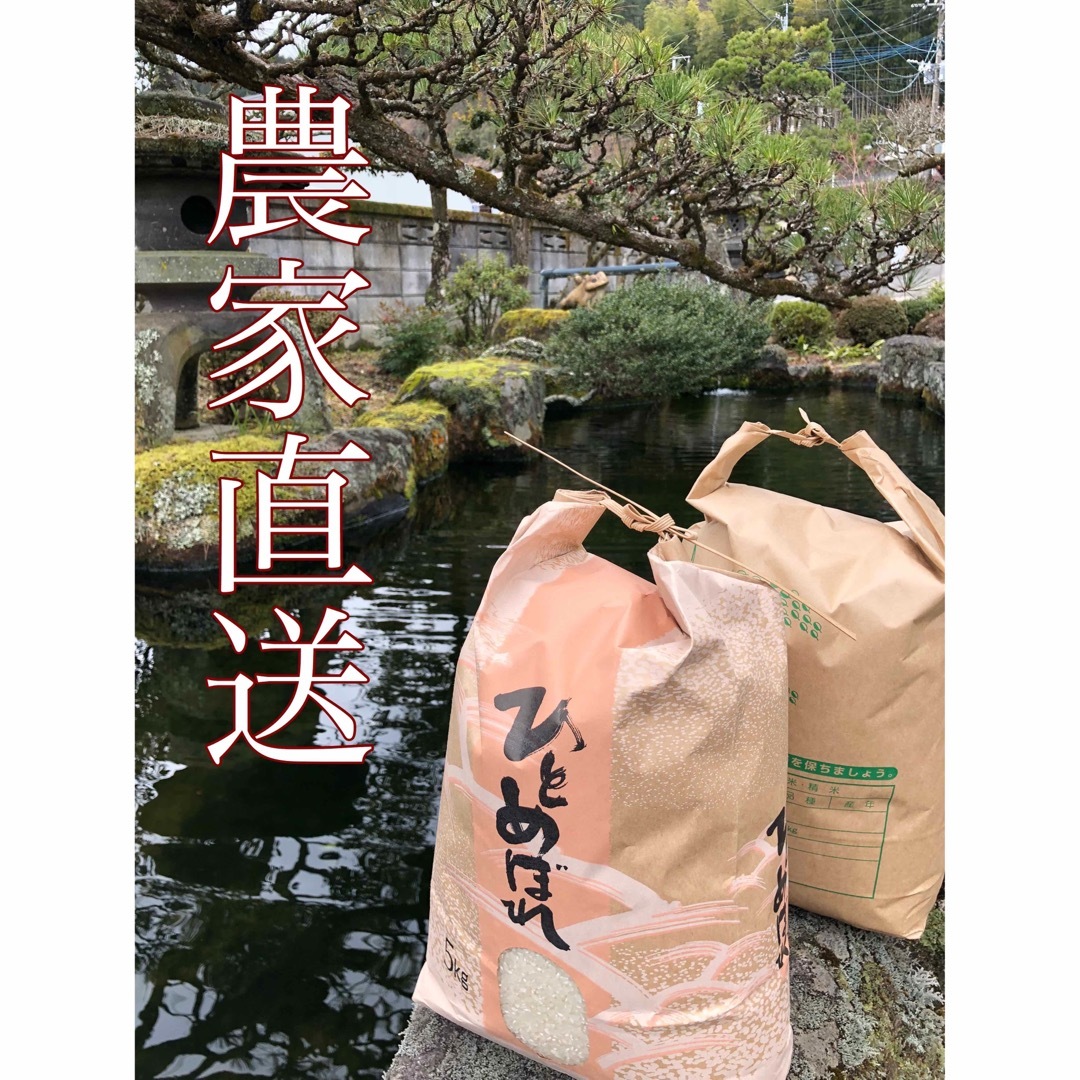 【送料無料】令和5年産 新米 選べるお米セット　5Kg×2袋 食品/飲料/酒の食品(米/穀物)の商品写真