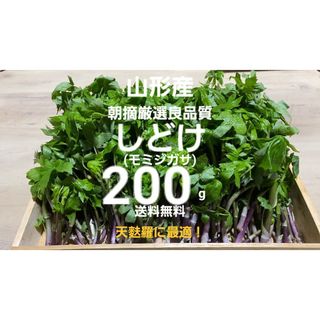 山形庄内鳥海山産　朝摘天然しどけ(モミジガサ)約200g　春野菜　山菜　天麩羅(野菜)