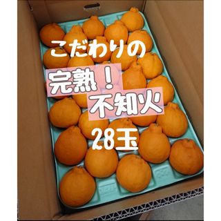 完熟不知火28玉 赤青秀品