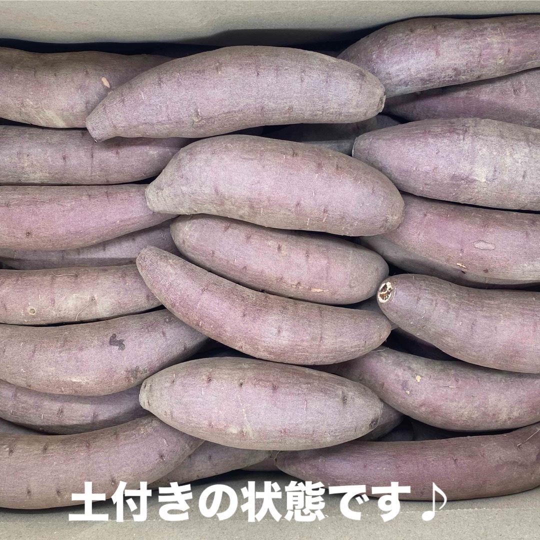 【Sサイズ】　シルクスイート  5Kg   愛知県産  さつまいも 食品/飲料/酒の食品(野菜)の商品写真