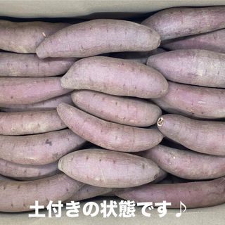 【Sサイズ】　シルクスイート  5Kg   愛知県産  さつまいも(野菜)