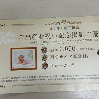 スタジオアリス　すくすくばこ限定出産お祝い記念写真撮影券(その他)