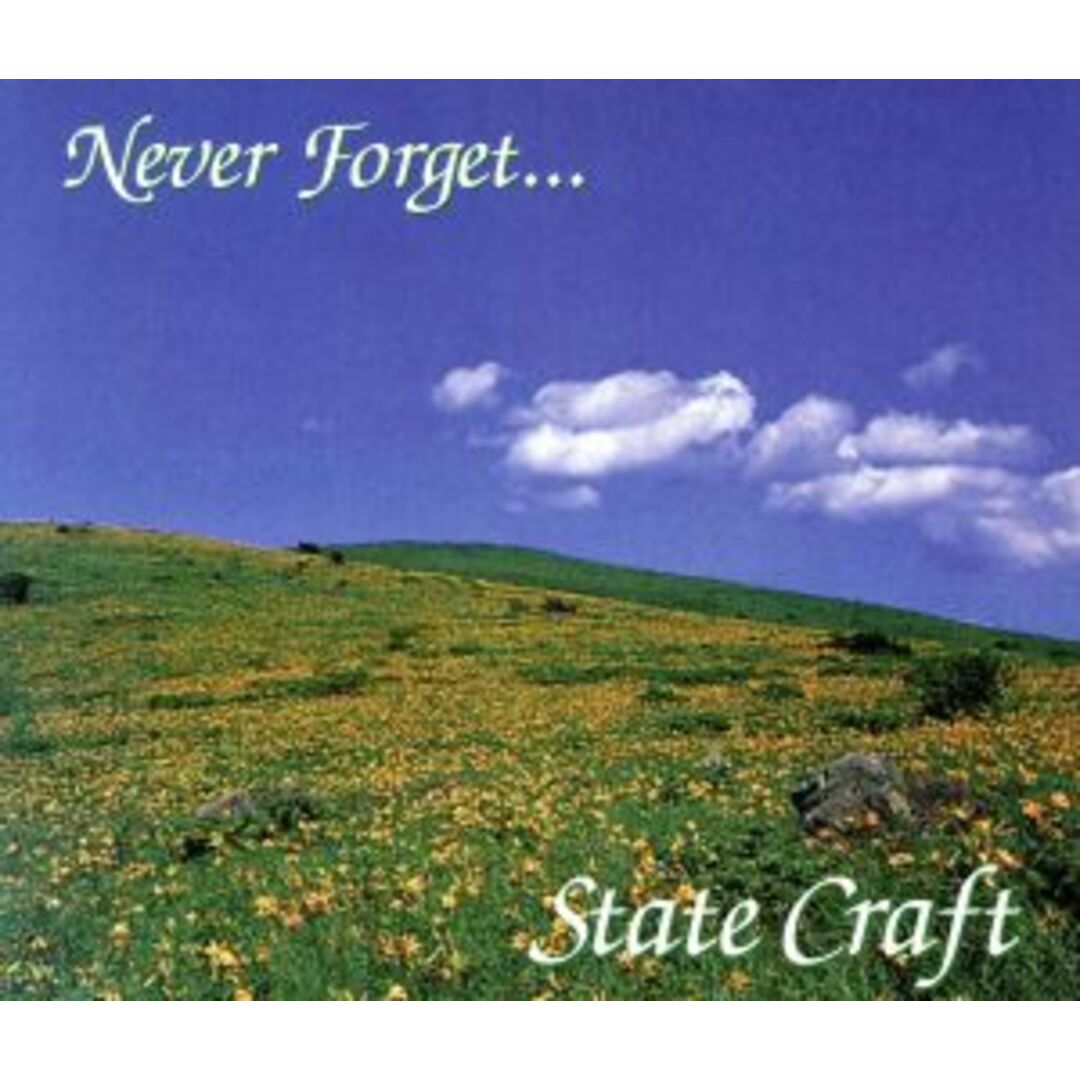 ＮＥＶＥＲ　ＦＯＲＧＥＴ エンタメ/ホビーのCD(ヒーリング/ニューエイジ)の商品写真