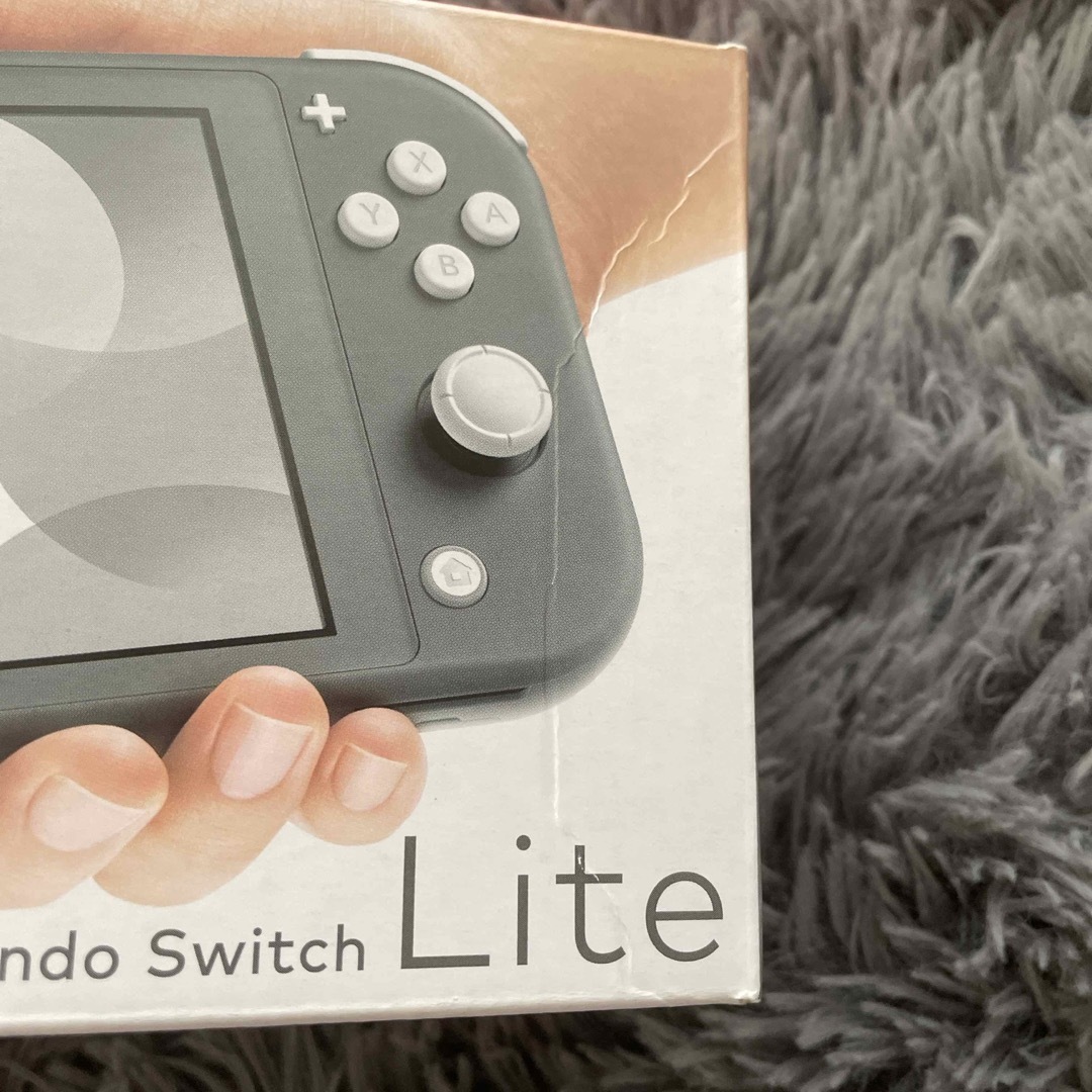 任天堂(ニンテンドウ)のchi様専用　Nintendo Switch Liteグレー エンタメ/ホビーのゲームソフト/ゲーム機本体(家庭用ゲーム機本体)の商品写真