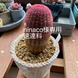 ninaco様専用(各種パーツ)