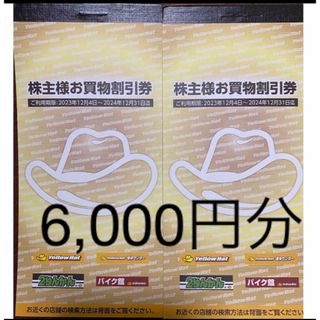 イエローハット  株主優待  6,000円分(その他)