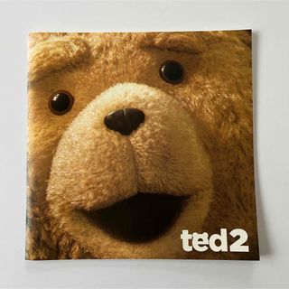 ted 2 映画パンフレット テッド 美品(印刷物)