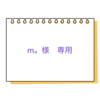 m。様　専用(スクールシューズ/上履き)