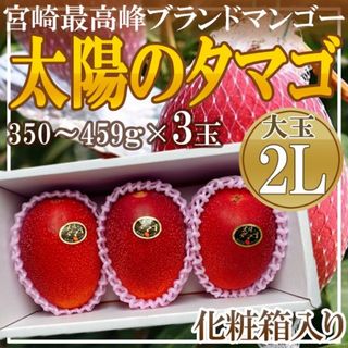 宮崎県産　太陽のタマゴ3玉　2L　1玉約450g以上　化粧箱入り　クール便発送(フルーツ)