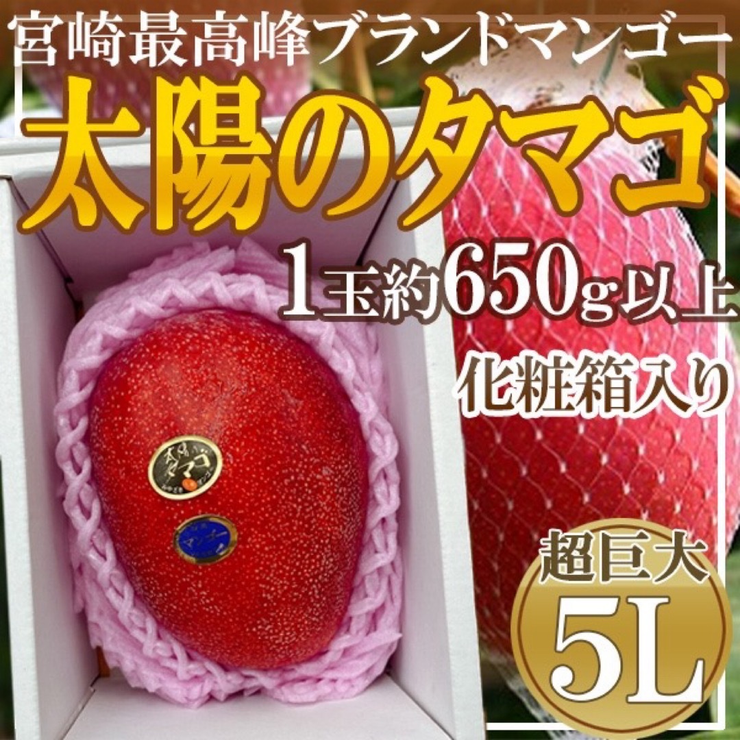 宮崎県産　太陽のタマゴ　5L　1箱1玉入り　化粧箱入り　約650g以上 食品/飲料/酒の食品(フルーツ)の商品写真