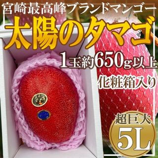 宮崎県産　太陽のタマゴ　5L　1箱1玉入り　化粧箱入り　約650g以上(フルーツ)