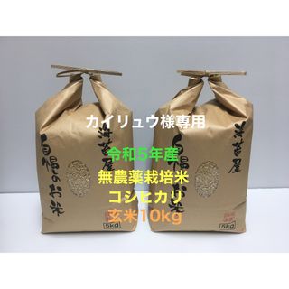 カイリュウ様専用 無農薬コシヒカリ玄米10kg(5kg×2)令和5年産(米/穀物)