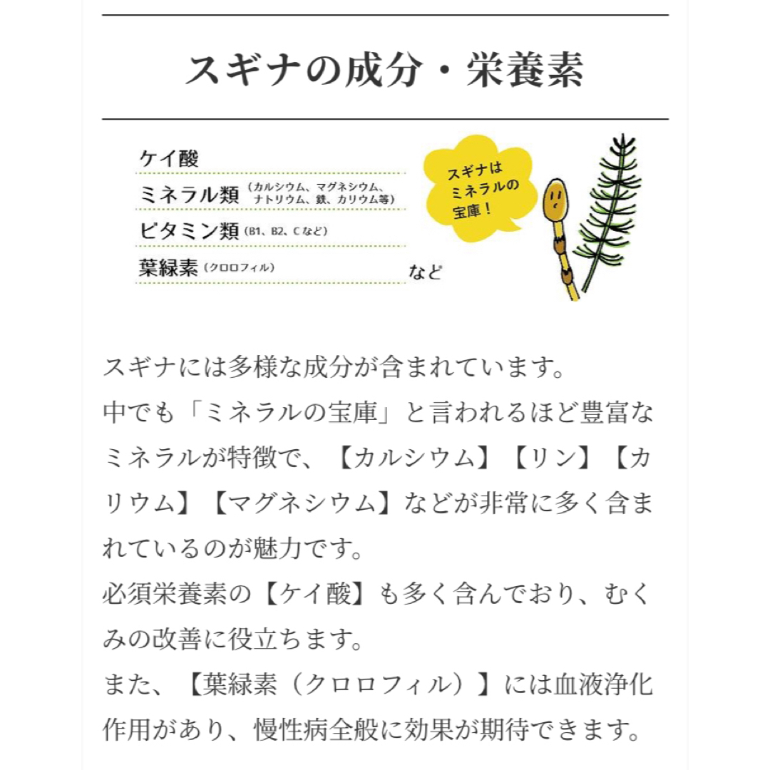 【スギナ茶】国産 野草茶 健康茶 お茶 野菜 薬草 スギナ ハーブ ポイント消化 食品/飲料/酒の健康食品(健康茶)の商品写真