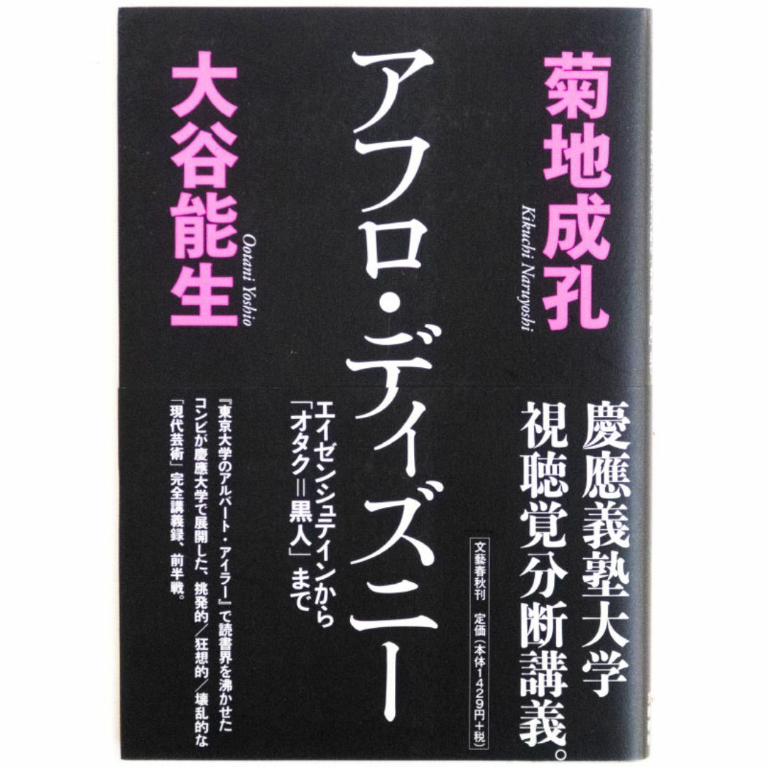 菊地成孔,大谷能生/アフロディズニー エンタメ/ホビーの本(アート/エンタメ)の商品写真