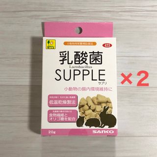 乳酸菌 サプリ(20g)  2点セット うさぎ モルモット ハムスター 三晃商会(小動物)