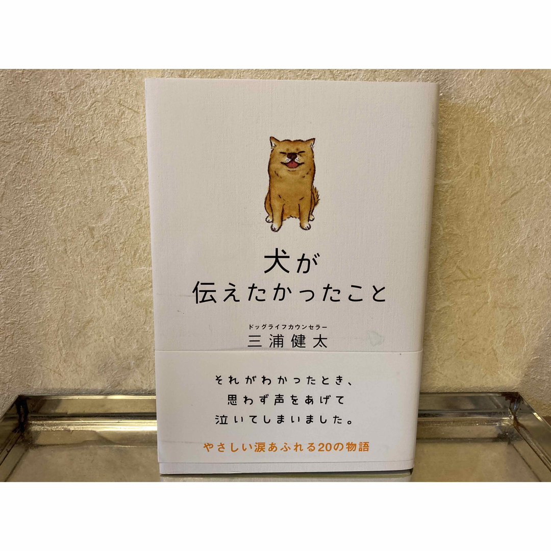 犬が伝えたかったこと　ドッグライフカウンセラー三浦健太著 エンタメ/ホビーの本(ノンフィクション/教養)の商品写真