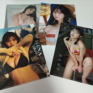 グラビアアイドル　クリアファイル　菊地姫奈　セット　まとめ売り　付録(アイドルグッズ)