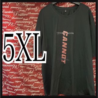 5XL(5L·6L)【テリーフィック】タテロゴシャツ新品/MC01P‐404(Tシャツ/カットソー(半袖/袖なし))