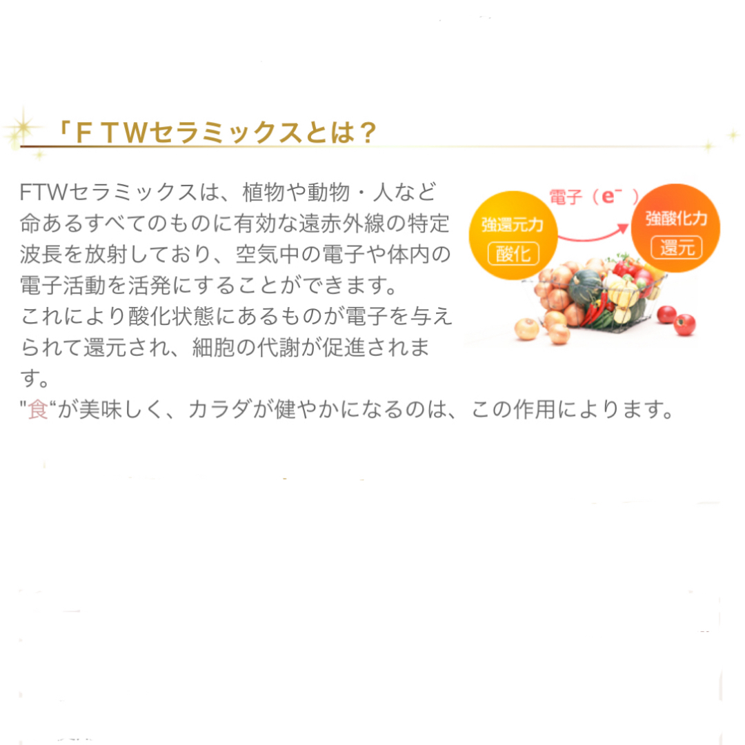 FTWビューラプレート インテリア/住まい/日用品のキッチン/食器(調理道具/製菓道具)の商品写真