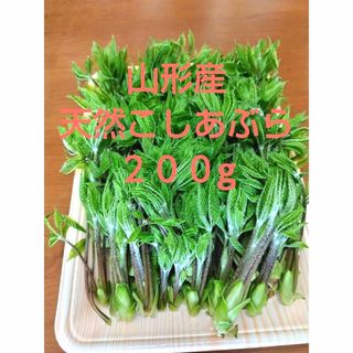 山形産天然こしあぶら　200ｇ(野菜)