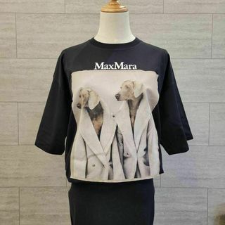 ★新品★Max Mara ウェグマンプリント Tシャツ サイズ展開あり S