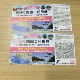 藤田観光　日帰り施設ご利用券　2枚セット　箱根ユネッサン　下田海中水族館(その他)