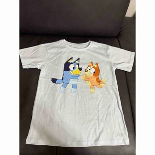 未使用訳ありbluey Tシャツ　ブルーイ　ビンゴ　男の子半袖Tシャツ140cm(Tシャツ/カットソー)