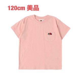 MARKEY'S - マーキーズ　フルーツオブザルーム 半袖ポケTシャツ