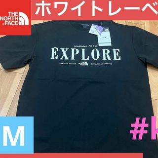 ザノースフェイス(THE NORTH FACE)のザノースフィイス　オールドライTシャツ　韓国限定品(その他)