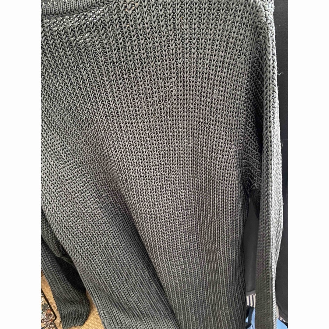 パレンザポー　シルクセーター レディースのトップス(ニット/セーター)の商品写真