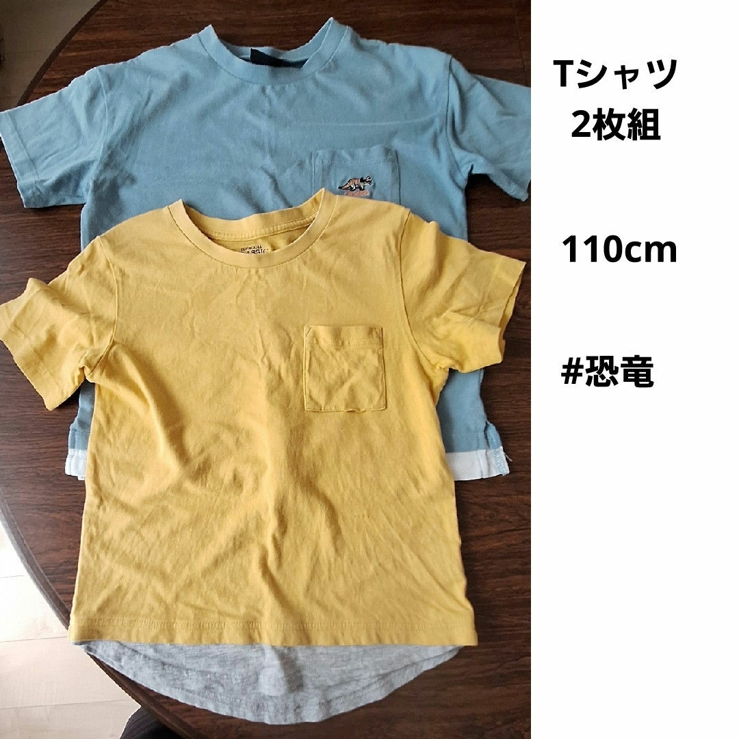 110cm　Tシャツ2枚組 キッズ/ベビー/マタニティのキッズ服男の子用(90cm~)(Tシャツ/カットソー)の商品写真