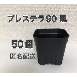 【プレステラ90】黒 50個 スリット鉢 プラ鉢 ラクマパック 多肉植物(プランター)