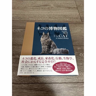 ネコの博物図鑑(科学/技術)