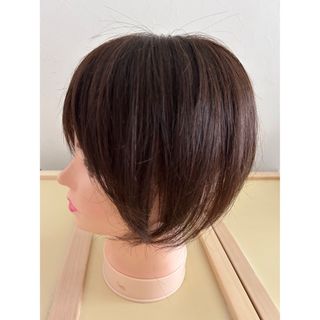 人毛100% 部分ウィッグ ヘアピース 美品(ロングストレート)