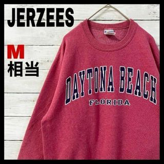 b31 希少 JERZEES USA製 フロリダ 地名ロゴ くすみカラー