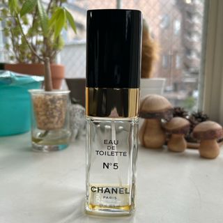 シャネル(CHANEL)のCHANEL 香水　空瓶　100ml(香水(女性用))