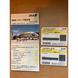 エーエヌエー(ゼンニッポンクウユ)(ANA(全日本空輸))のANA株主優待券(航空券)