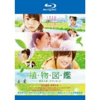 【中古】Blu-ray▼植物図鑑 運命の恋、ひろいました ブルーレイディスク レンタル落ち(日本映画)