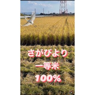 ⭐️新米 令和5年産1等米⭐️佐賀県産さがびより20k(5k×4袋)(米/穀物)