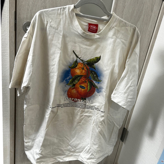 【訳有】正規品/パラグラフ半袖Tシャツ(Tシャツ/カットソー(半袖/袖なし))