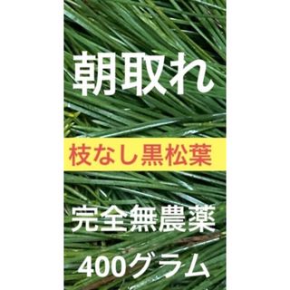 枝なし黒松葉400グラム即購入可　即日発送　岡山県　無農薬(野菜)