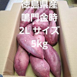 さつまいも　徳島県産鳴門金時2L サイズ5kg(野菜)