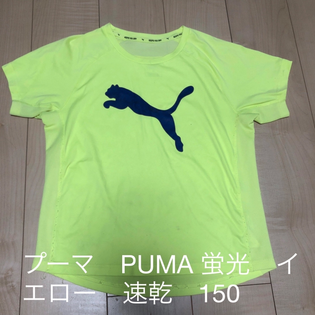 PUMA(プーマ)のプーマ　PUMA 蛍光　イエロー　Tシャツ　速乾　ビッグロゴ　キッズ　150 キッズ/ベビー/マタニティのキッズ服男の子用(90cm~)(Tシャツ/カットソー)の商品写真