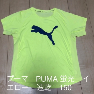 プーマ(PUMA)のプーマ　PUMA 蛍光　イエロー　Tシャツ　速乾　ビッグロゴ　キッズ　150(Tシャツ/カットソー)