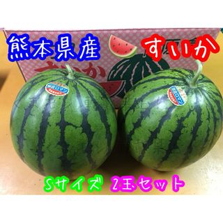 熊本県産 植木 すいか 家庭用 Sサイズ 2玉セット(フルーツ)